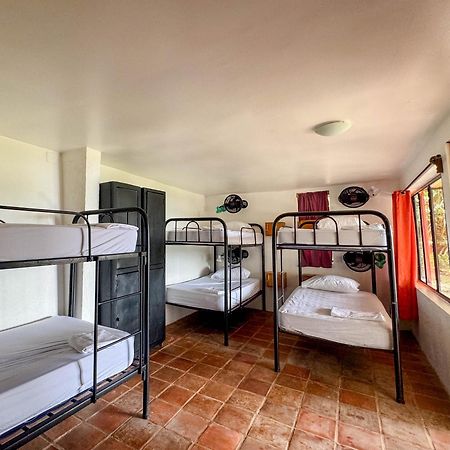 Hotel Coco Bay à La Laguna Extérieur photo